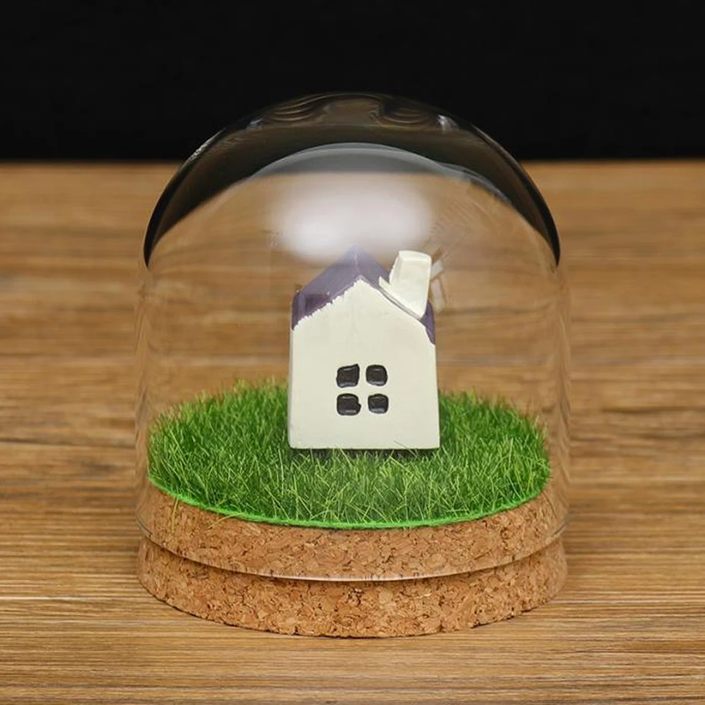 Clear Glass Display Dome Cover Cloche Bell Jar Succulent Terrariums with Wood Cork for Home Office Table Decor DIY