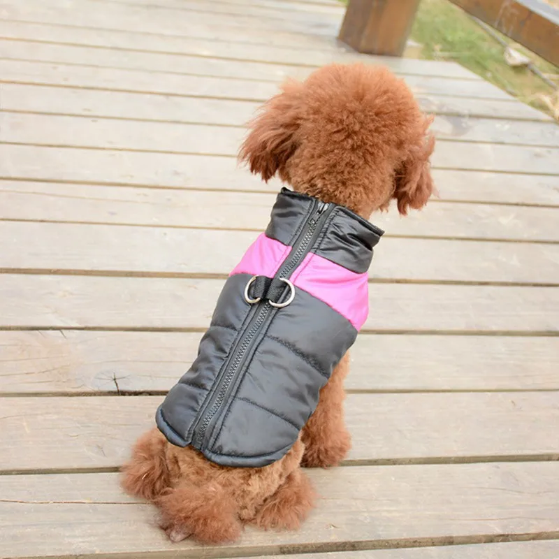Домашняя собака теплая куртка жилет Чихуахуа теплая зимняя одежда для собак водонепроницаемые теплые пальто, куртки для маленьких средних и больших собак s-xl