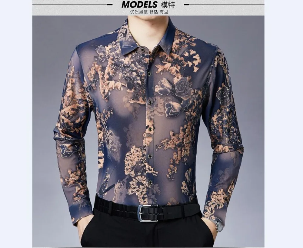 QQ截图20190825070206