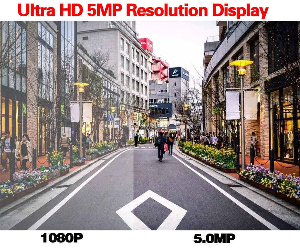 H5c8e4e971081431eaa76bcacc123777ef