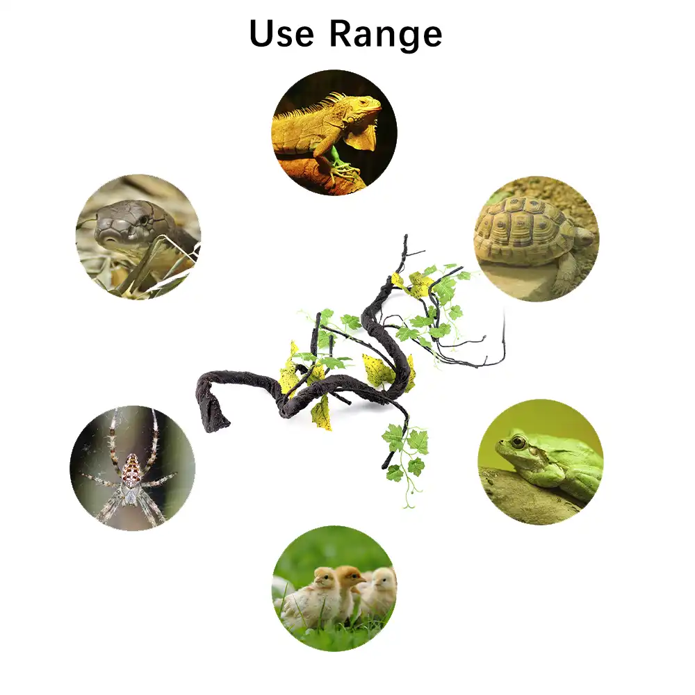 reptile pet stores