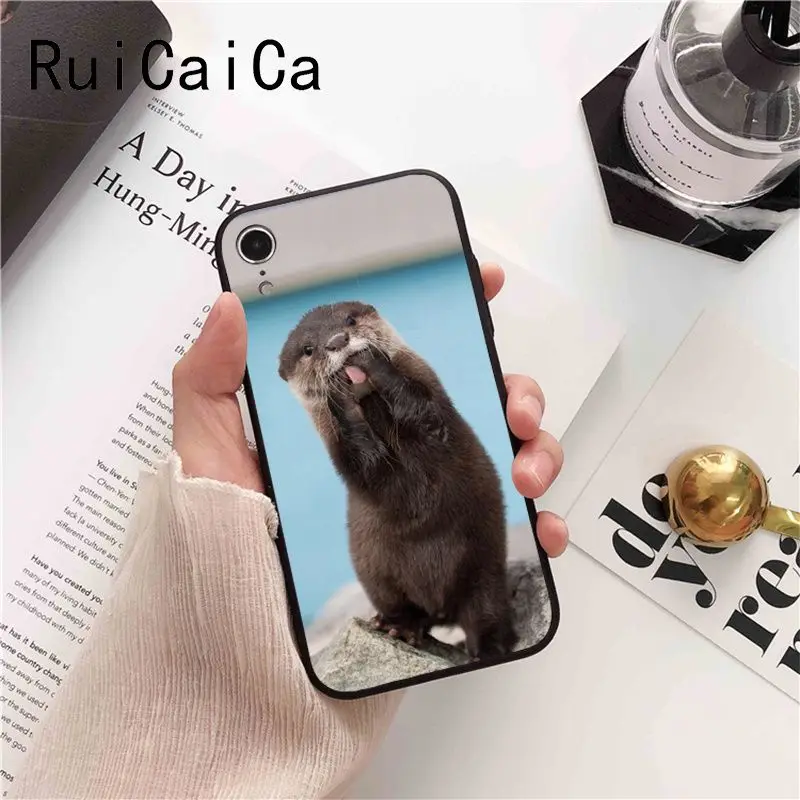 lovely cute Otter water animal