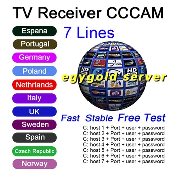 

TV Receiver CCCAM cline for 1 year Europe 7 lines egygold cccam cline Turkey Portugal Spain Germany Italy Poland full HD DVB-S2