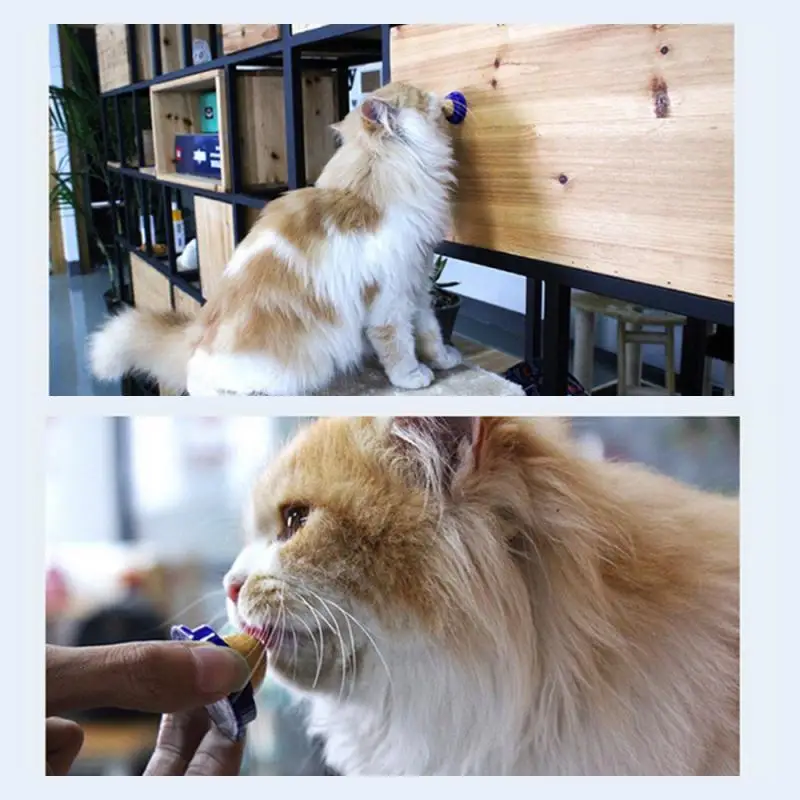 1PC Healthy Cat Snacks Catnip Sugar Candy Licking Nutrition Energy Ball Toy Cats Kittens Increase Drinking Pet Suppliestoy TSLM2
