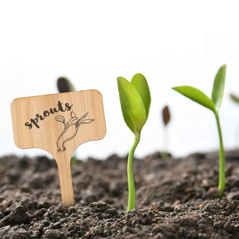 50 шт. бамбуковые этикетки для растений экологически чистые Т образные деревянные