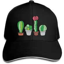 Мужская и Женская Бейсболка с изображением кактуса растений