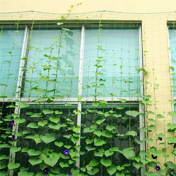 

Support Trellises Cucumber Ropes Green Outdoor Tool Accessory Climbing