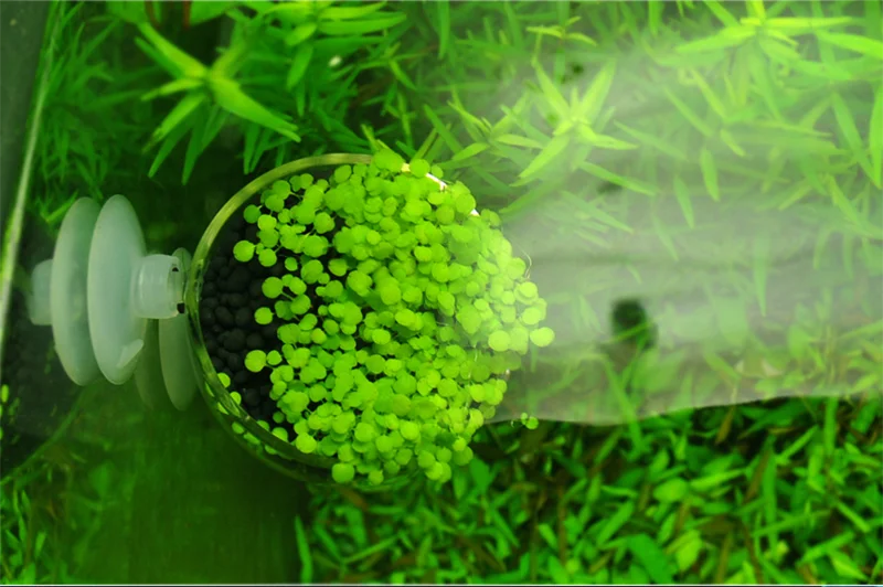 9502147ef4d80f5ec14aa71332a62a5