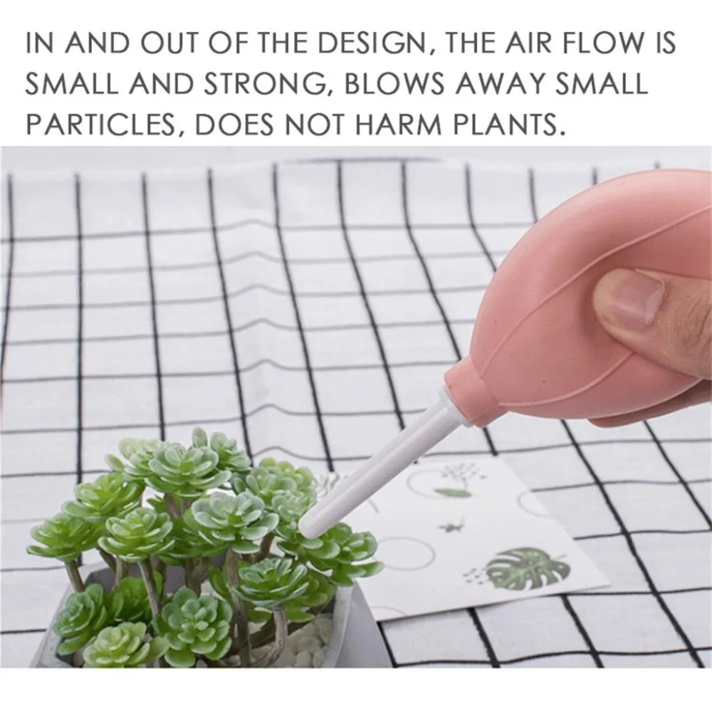 2 - CCS90423007PK_2019042408383657587