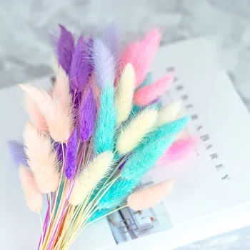 

60PCS Dried Flower Natural Lagurus Ovatus Decorative Flower Photography Prop Wedding Party Home Decor