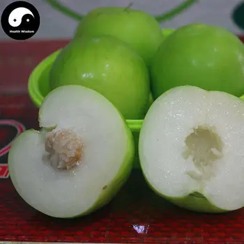 

Buy Green Date Palm Fruit Tree Seeds Plant Zizyphus Mauritiana For Jujube