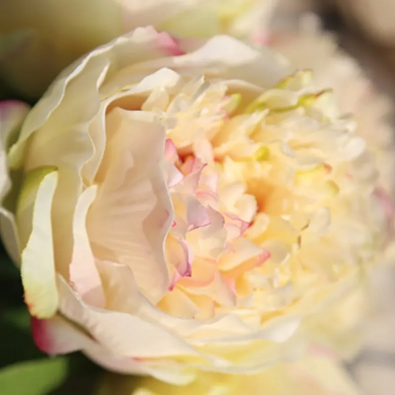 5 шт. большой пион искусственный Шелковый цветок Свадебный букет декоративный белый пион домашний дисплей поддельный цветок пакет сердце Пион розовая роза