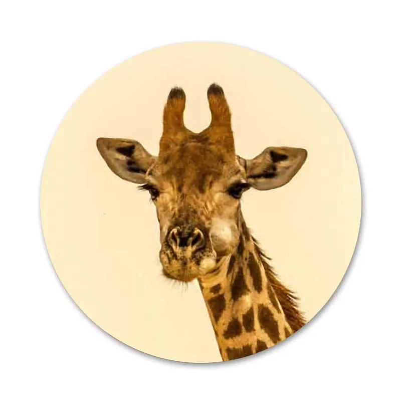 Close Up Of A Giraffe Face Bottle Opener Fridge Magnet 
