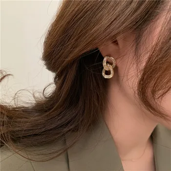 

South Korea Dongdaemun Delicacy Versatile Cool Chain Earrings S925 Needles Elegant Super Shiny Zircon Double Coils Ear Stud Fema