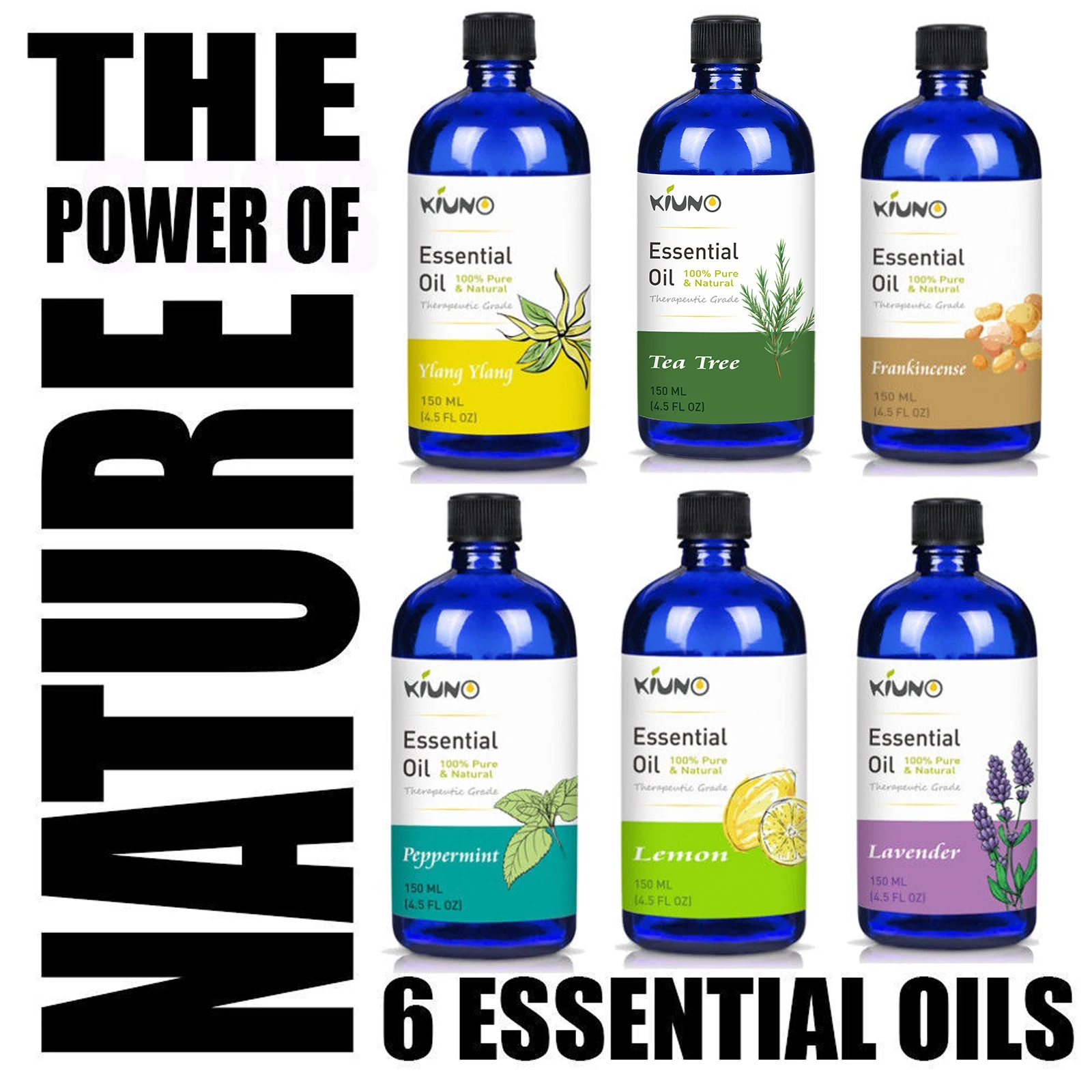 img003.jpg_.webp img003.jpg_.webp