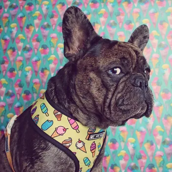 

French Bulldog Harness Leash Printed Frenchie Reversible Harness Puppy Small Dogs Mesh Vest Leash Set for Pug Walking Training
