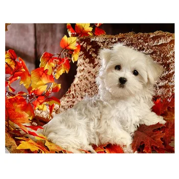 

diy square round Diamond Painting Malta Dog 5D Diamond Embroidery sale Rhinestone Mosaic Painting cute dog pet home stickers