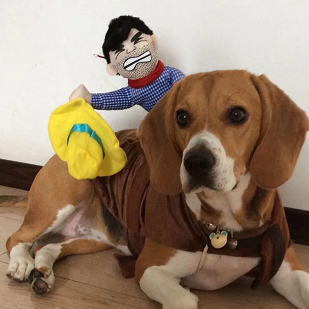 Собака Хэллоуин Верховая Езда костюмы куклы ковбой Рыцари Цзинь Мао Тедди личность смешная собака одежда мода