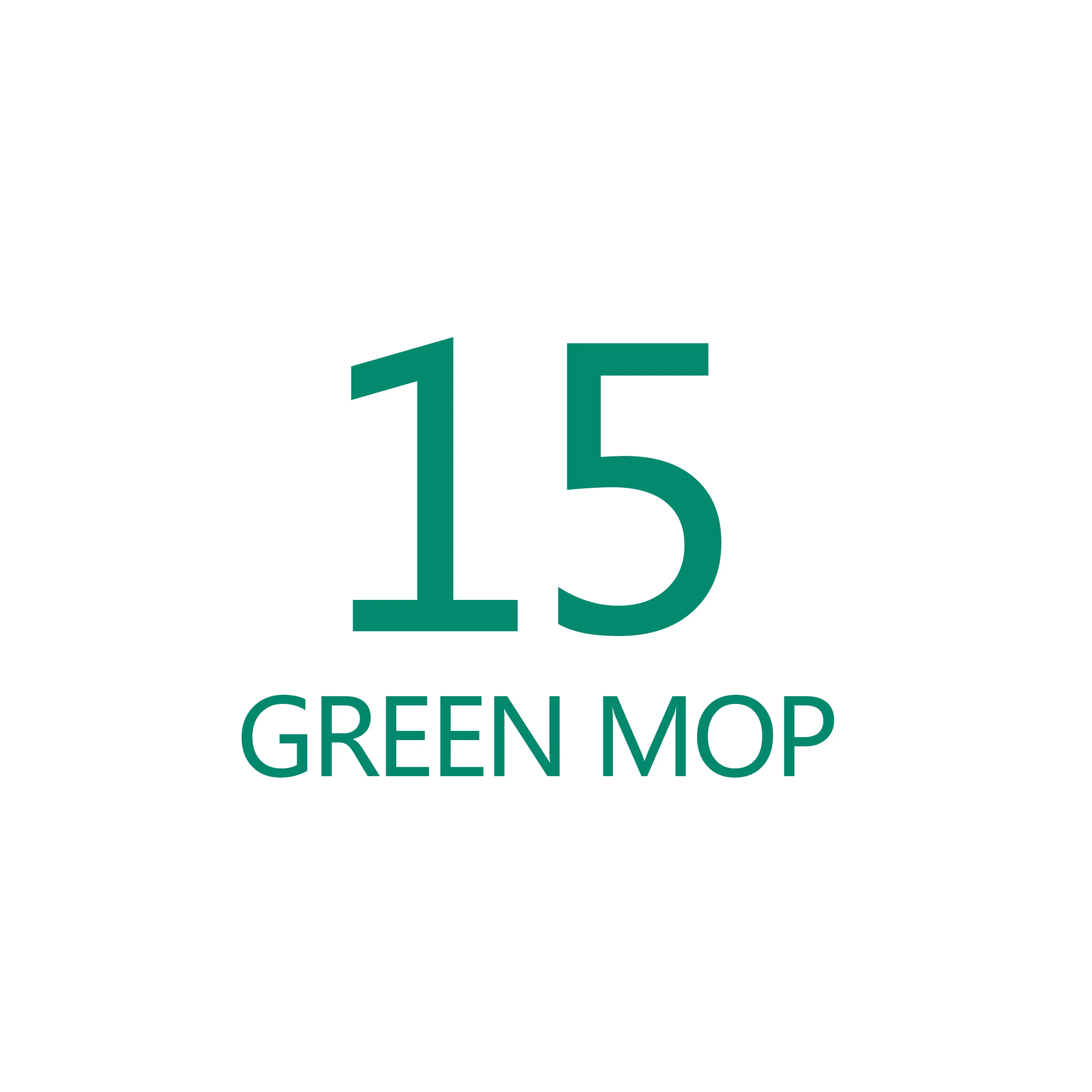 Дропшиппинг Волшебные мопы из микрофибры - Цвет: 15  GREEN