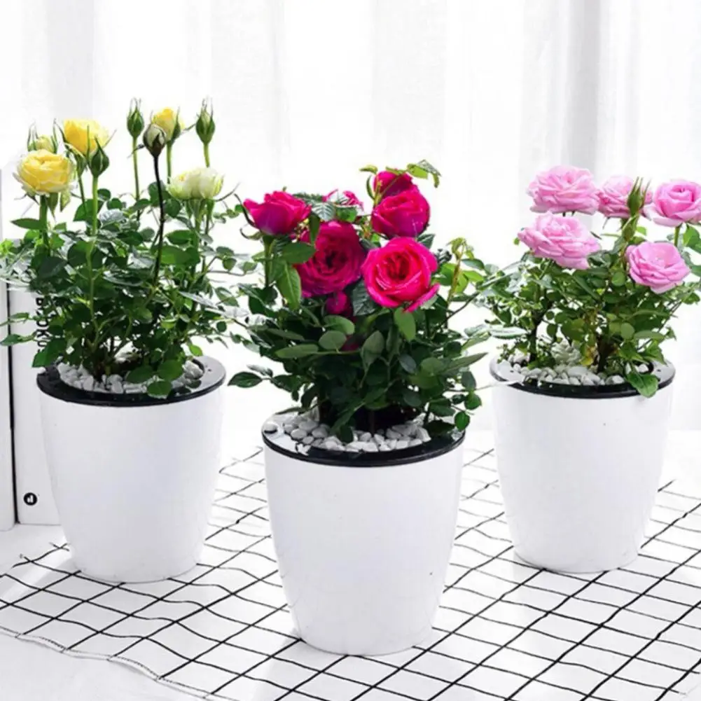 Creative Self-watering Plant Flower Pot Wall Hanging Plastic Planter Home Garden