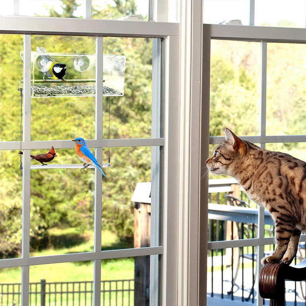 Window Bird Feeder With Strong Suction Cups And Seed Tray Outdoor