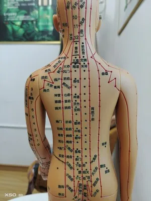 O1CN01bVDd4G1DTQZX7rJZG_!!0-rate.jpg_400x400