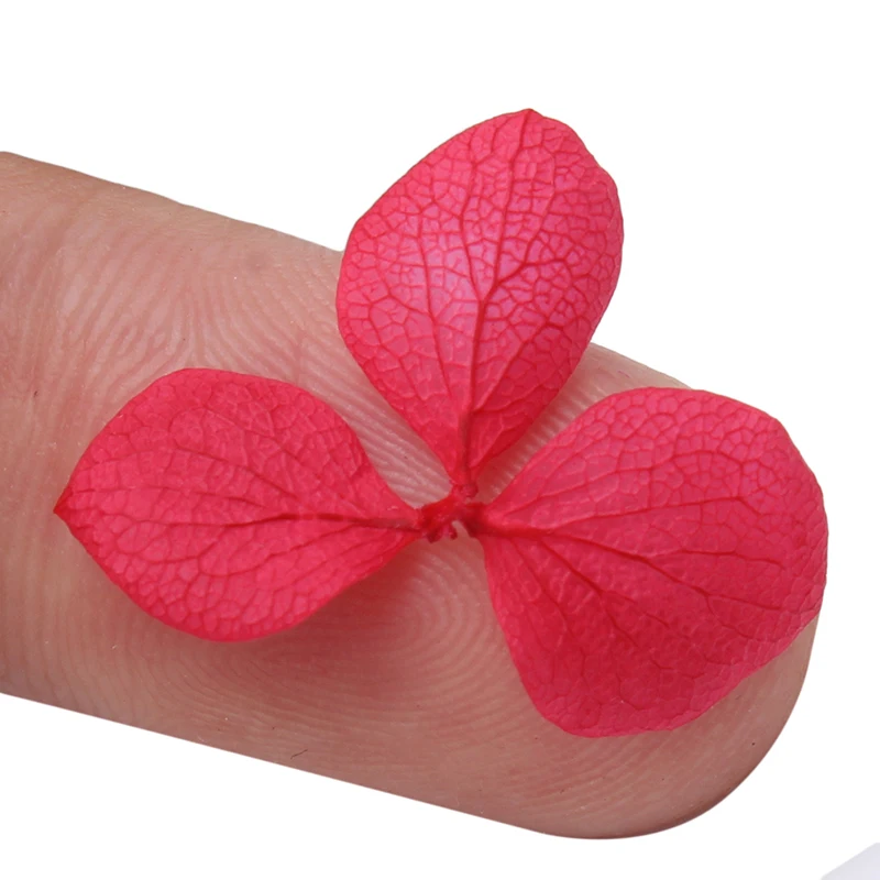 Pressed Dried Flower Nail Decoration Dry Plants For Epoxy Resin Nail Sticker Jewelry Making Craft DIY Nail Accessories