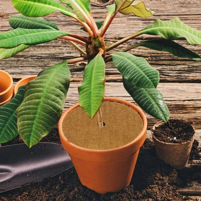 4 Méretű Természetes Kókuszdió -Pálma Szálas Bélés Ömlesztett Tekercs Szőnyeg Virág Kosár Virágcserepfal Kisállat Hüllő - Image 4