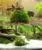 Новая Мода Аквариум Marimo Moss Ball Живые Растения Фильтр Для Java Креветки Аквариум Новые