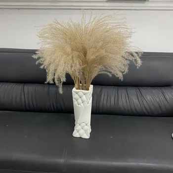 

Dried Flower Small Reed Horsetail Whisk Preserved Fresh Flower 1 Beam 50