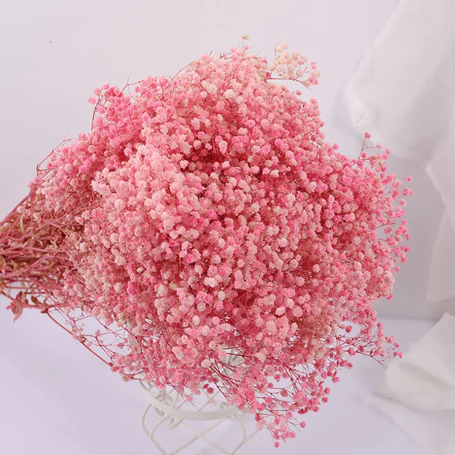 Natural Fresh Dried Preserved Flowers Gypsophila Paniculata,Baby's Breath Flower Bouquets Gift for Wedding Decoration,Valentines pink