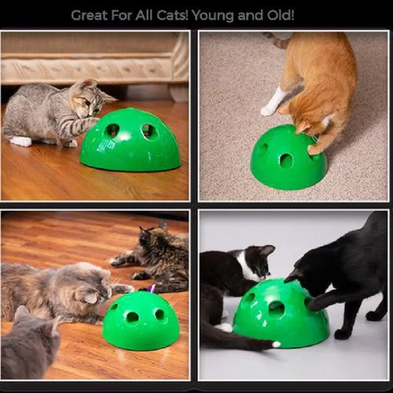 11714801052_1814672230