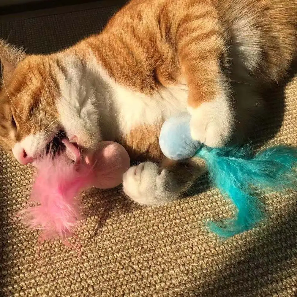 Chaton Catnip Hoopet интерактивная игрушка для кошек туннель товары для животных товары для собак Petshop игрушки для кошек