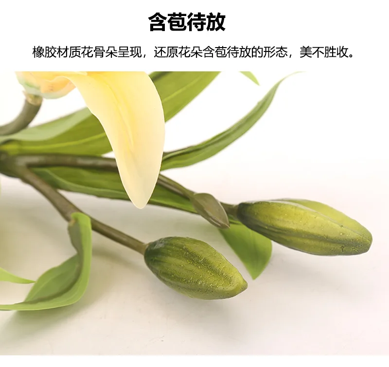 15-11460542317_831230203