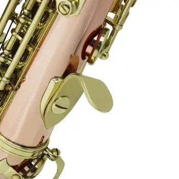 

Professional Performance Stage Soprano Saxophone With Gig Bag Gloves Straps