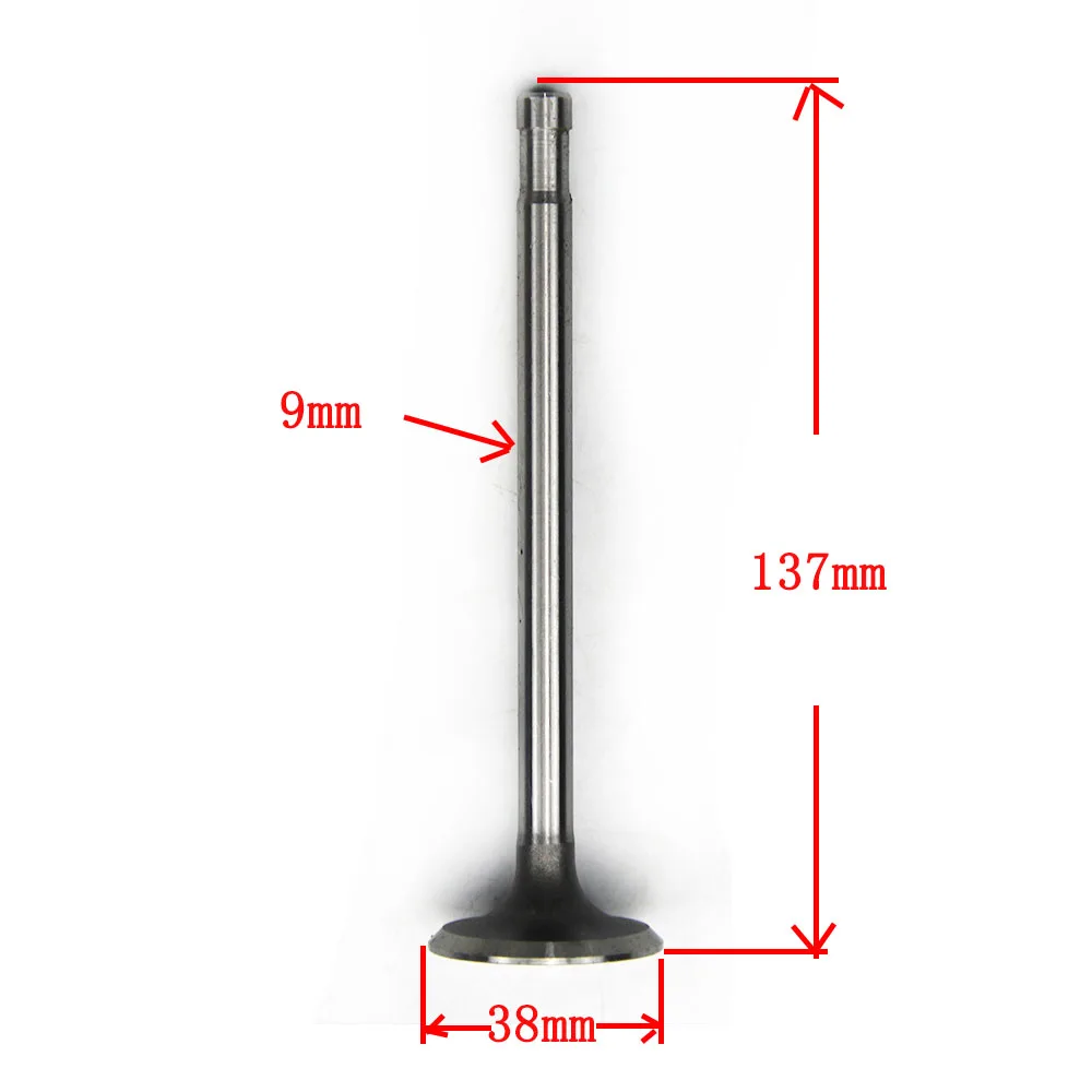 Intake and exhaust valve 24HP size