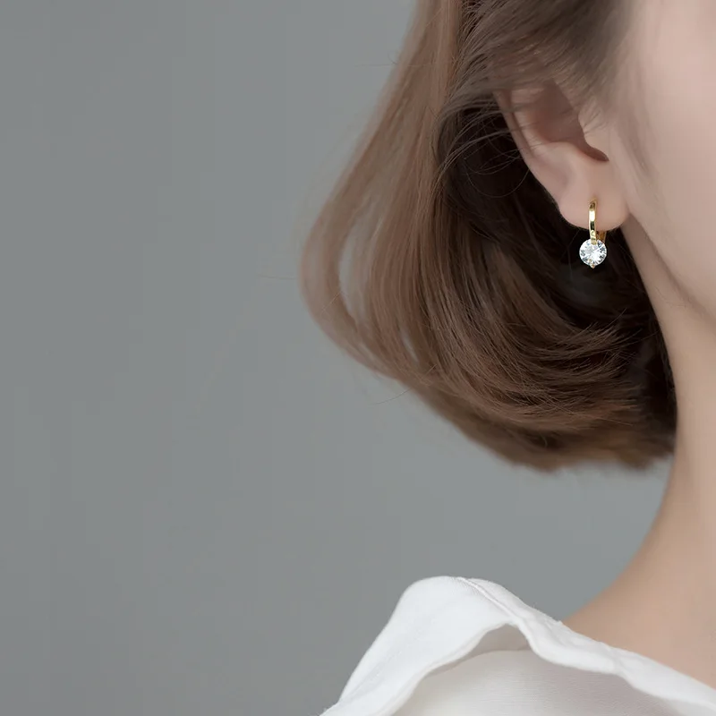 Earrings Stainless Steel Hoop Earrings | Korean Zircon