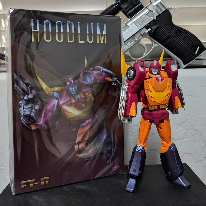 fans toys hoodlum
