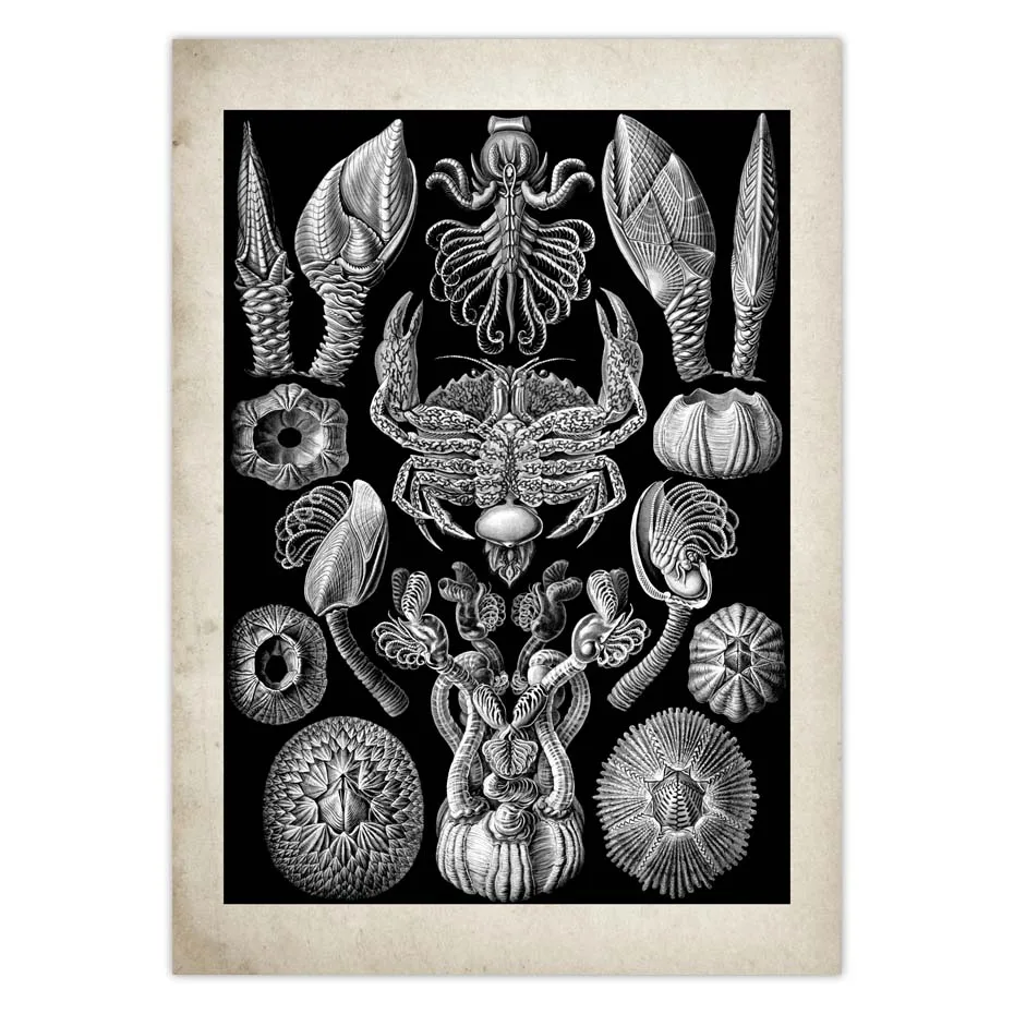 Hb53ca5ea7a5945779b1c4a93085328944