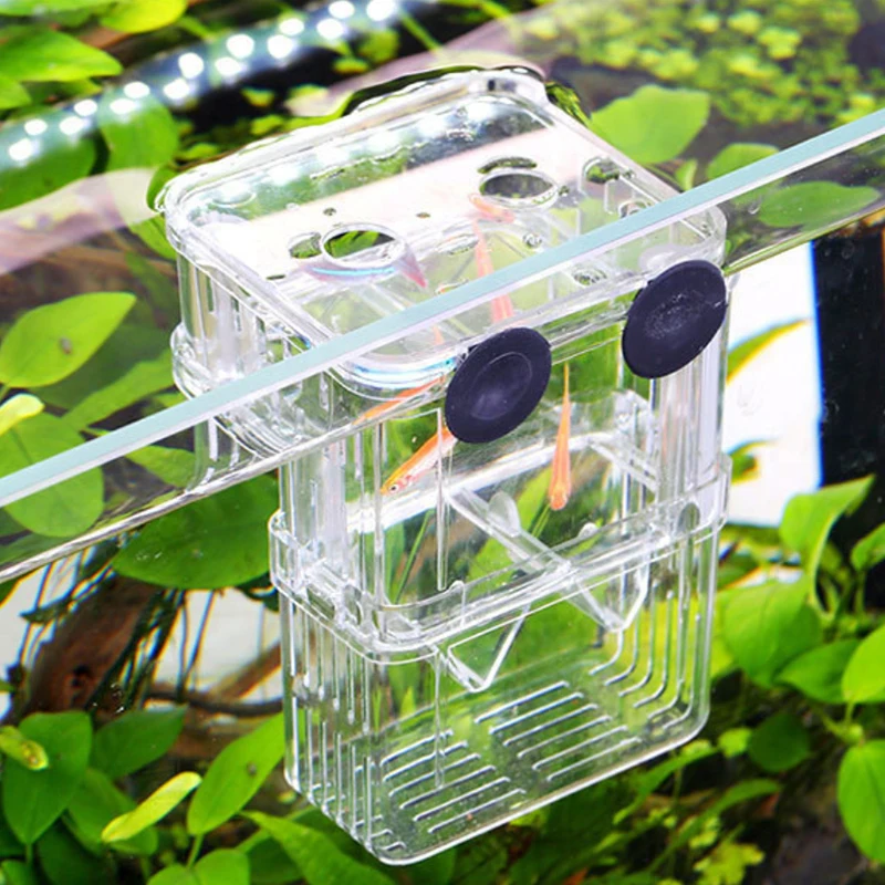 Двухслойный прозрачный короб для разведения рыб плавающий инкубатор защитный
