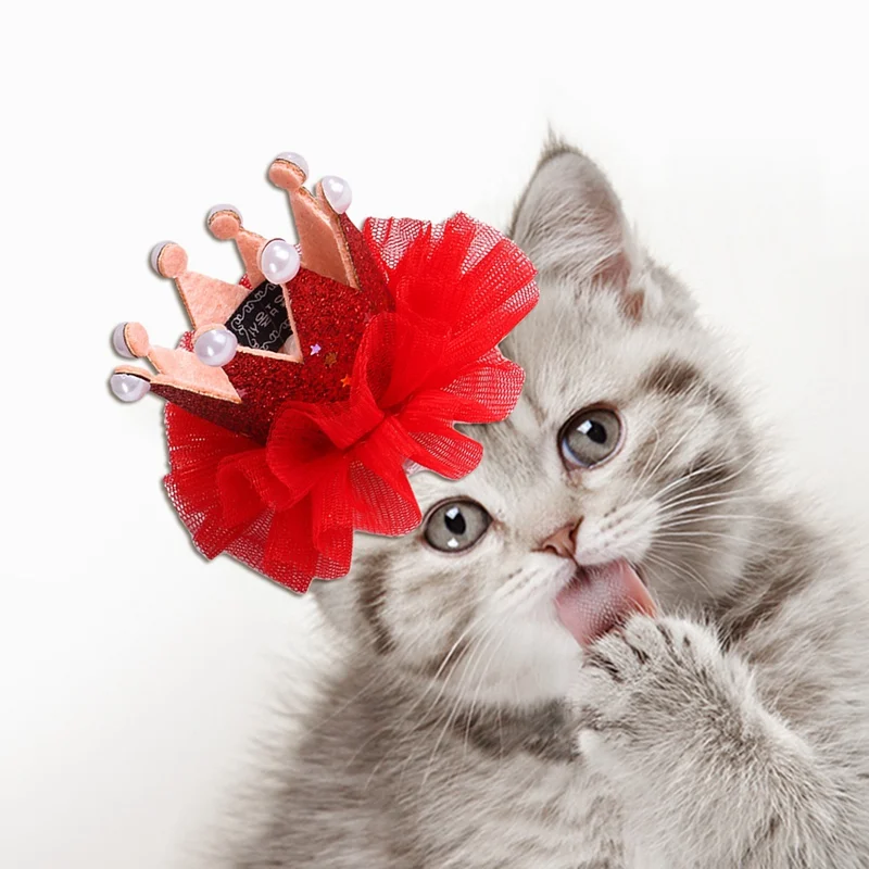 cute puppies doing funny stuff