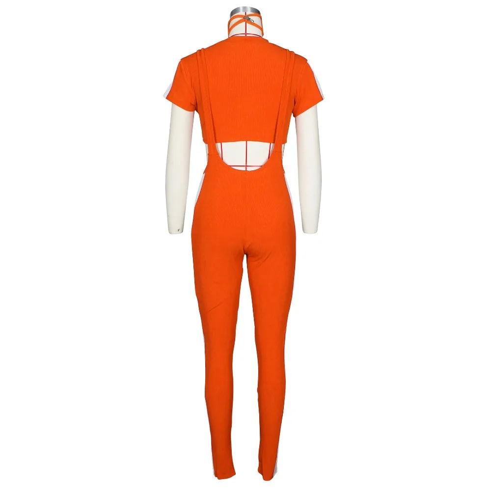 17255486663_212653647