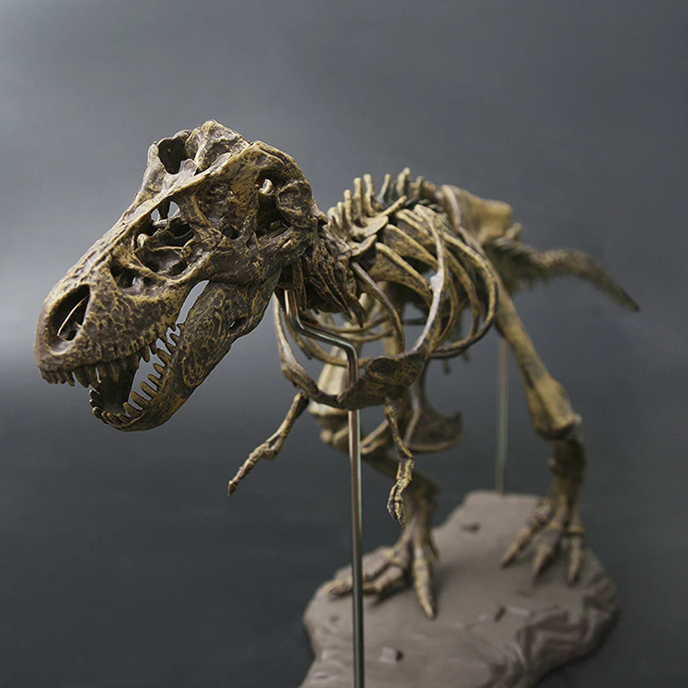 4D-Animal-Model-Toys-Simulation-Large-Dinosaur-Fossil-Tyrannosaurus-Assemble-the-skeleton-model-Toys-Home-Decoration (1)