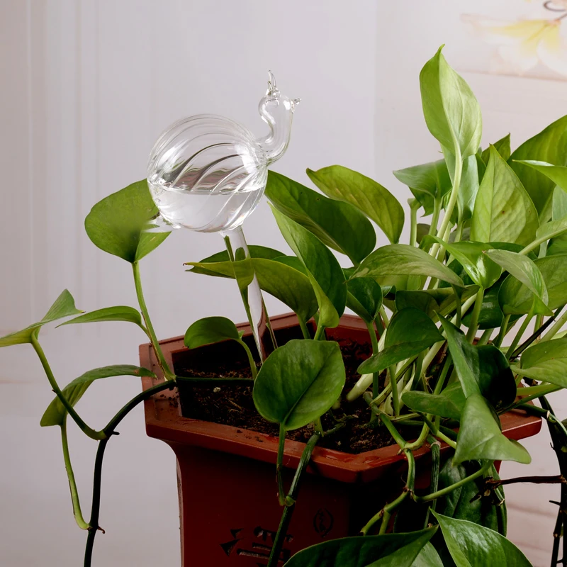 Portable Automatic Watering Planter Vase Terrarium Container Home Wedding Garden