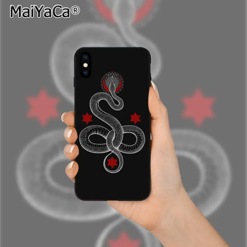 Coral snake