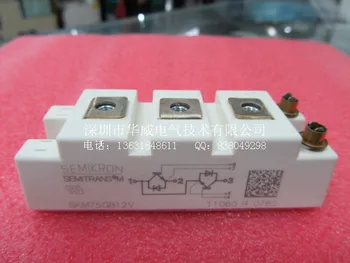 

SKM75GB12V SKM75GB12T4--HWDQ