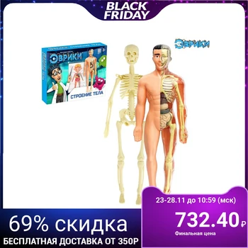 

The scientific experience of "body Structure"