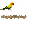 Pet Products