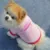 Pet Cat Clothing Dog Shirts for Small Dogs Accessories Pet Supplies Cat Short Sleeve T Shirt Para Perro