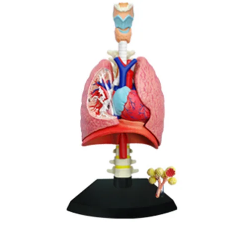 HTB1VBPTj_Zmx1VjSZFGq6yx2XXax